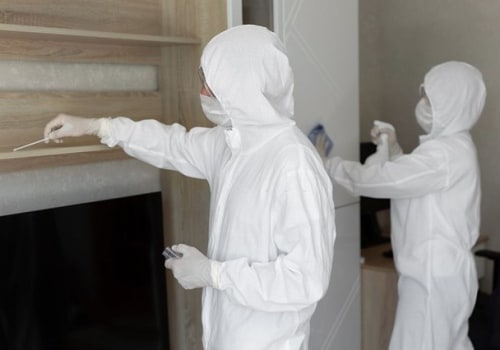 Addressing Mold Issues As They Arise: Mold Remediation In Philadelphia Home Builds